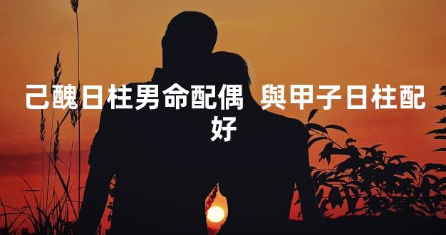 己醜日柱男命配偶  與甲子日柱配好